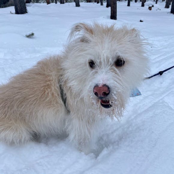 heidihedoesit